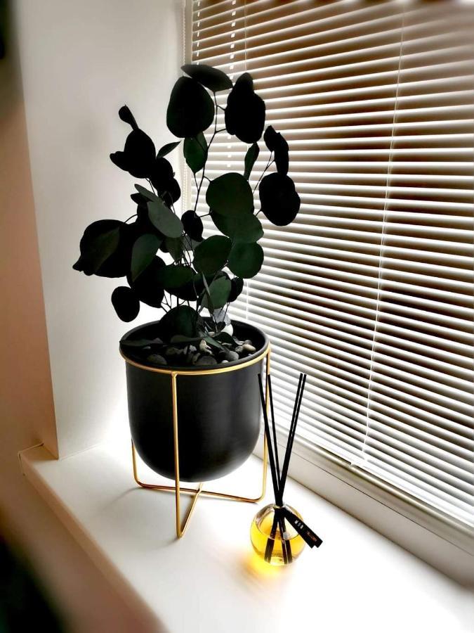 Vyturiai - Nauju Apartamentu Nuoma Sventojoje Šventoji المظهر الخارجي الصورة